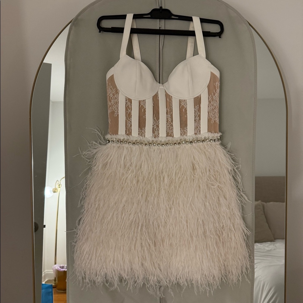 NEVER WORN Alicia & Olivia Shia Sheer Bustier Feather Dress